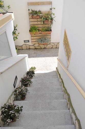 a stairway with potted plants in a building at V&V Suite & Breakfast in Pompei