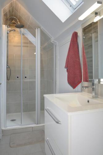 a bathroom with a shower and a white sink at Le Franche Comté Centre Ville Rive Droite in Laval