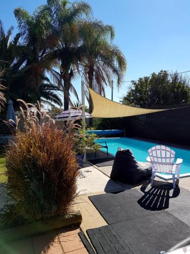 a pool with a chair and a hammock and palm trees at Bidgee Motor Inn in Hay