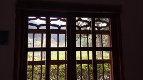 a window with a view of a tree through it at Casa Huespedes EL ENSUEÑO in Jardin