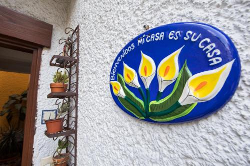 a blue and white sign on a wall next to a plant at Casa Ayvar in Mexico City