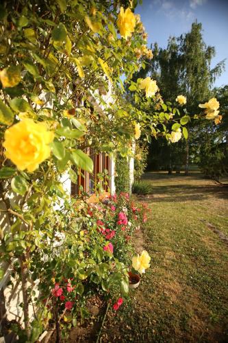 a garden of flowers in front of a house at Les Rêves de Flamboin in Gouaix
