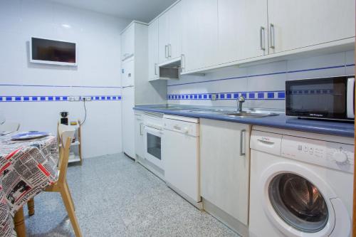 una cucina con lavatrice e lavandino di Apartamentos Abula ad Ávila