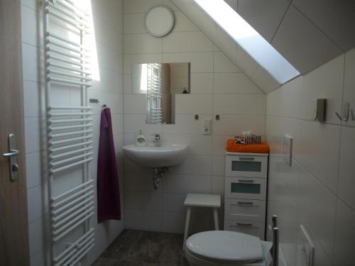 a bathroom with a sink and a toilet and a mirror at NR- Fewo mit Ladestation für E-Autos in Melchow