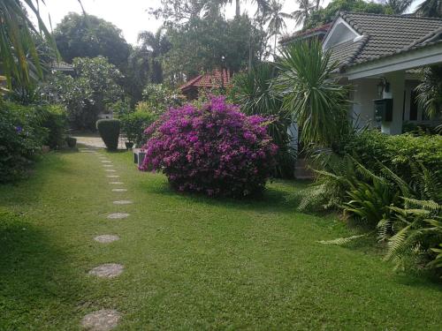 a garden with pink flowers next to a house at Reuan Phaolai in Bophut 