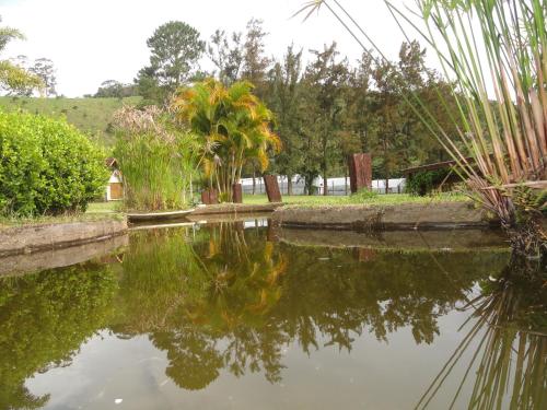 a small pond with a couple of benches near by at Pousada Solar dos Vieiras in Juiz de Fora