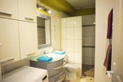 bagno con lavandino, servizi igienici e specchio di Mas Vincent a La Fare-les-Oliviers