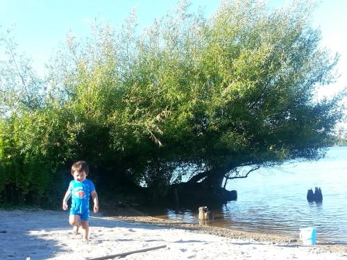 a little boy standing on the beach near the water at Koutu Beach Bed and Breakfast in Rotorua