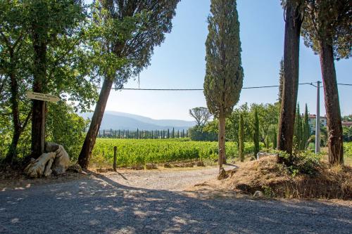 Agriturismo Albergotti – Photos 3