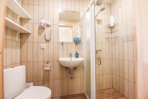 a bathroom with a toilet and a sink and a shower at Manto Apartamentai in Druskininkai