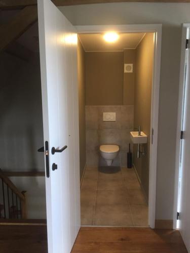 a bathroom with a toilet and a sink at Logies Berckelaer in Sint-Gillis-Waas