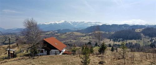 a small house on a hill with mountains in the background at Casa Konigstein in Fundata