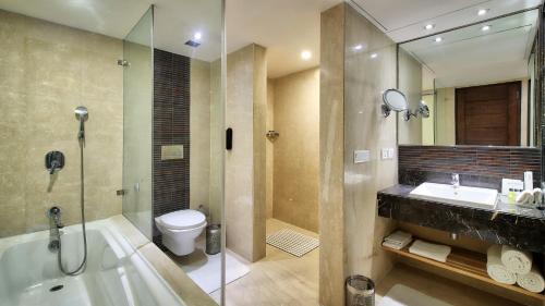 Radisson Jaipur City Center tesisinde bir banyo