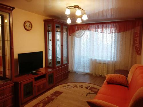 ノヴォシビルスクにあるSalvador Apartments on Vokzalnayaのリビングルーム(ソファ、テレビ付)