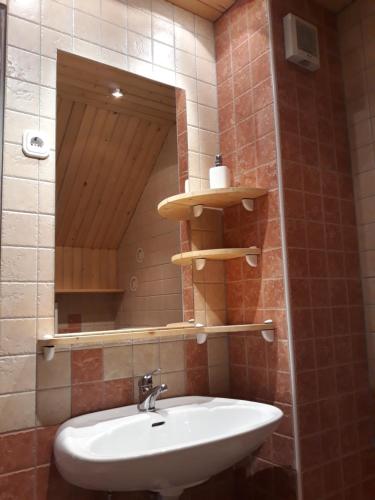 a bathroom with a sink and a mirror at Apartma pod Rožco in Jesenice