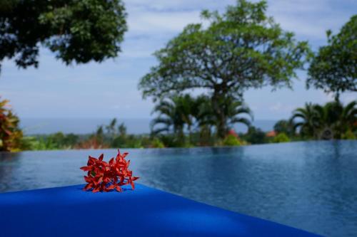 Puri Mangga Sea View Resort and Spa – Photos 2