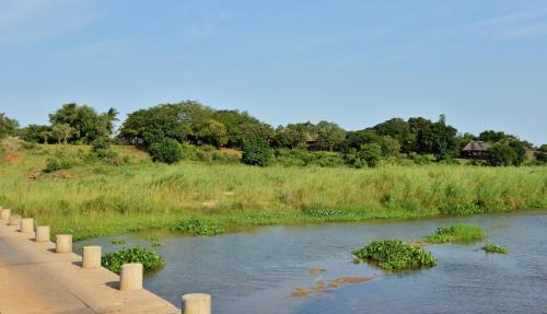 a river with plants in the water next to a field at Elephant Walk Retreat in Komatipoort