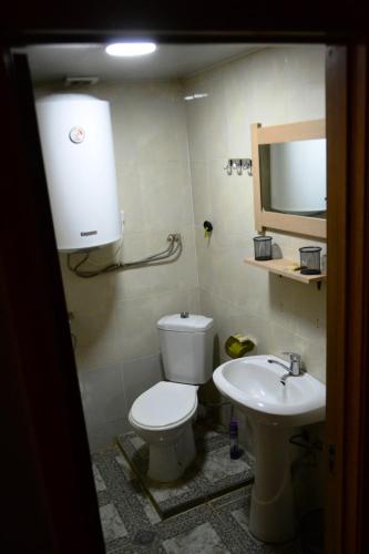 a bathroom with a toilet and a sink at Daeli Hotel in Mestia