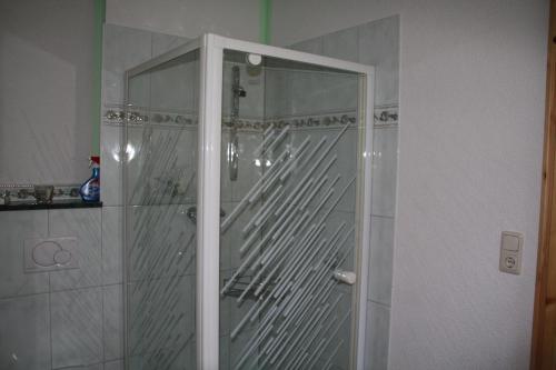 a shower with a glass door in a bathroom at Ferienwohnung Helbing in Marlishausen
