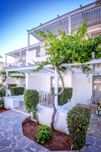 a tree in the courtyard of a building at Sol Marina Beach Crete in Gouves