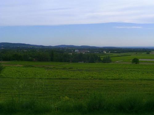 a field of green grass with mountains in the distance at Masmazan in Mazan