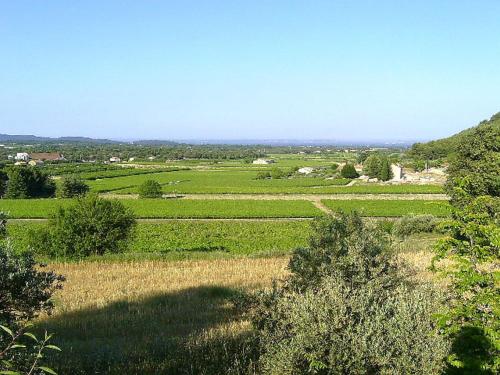 a view of a field of grass with trees at Masmazan in Mazan