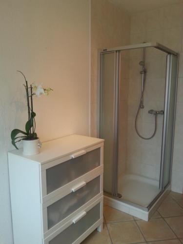 y baño con ducha con cabina de ducha. en Gästewohnung im Papenteich en Abbesbüttel