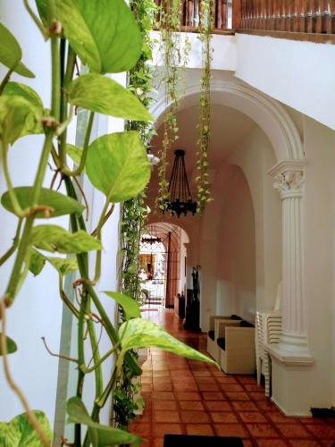 a hallway in a building with a plant at Santa Alejandría Hotel in Cartagena de Indias