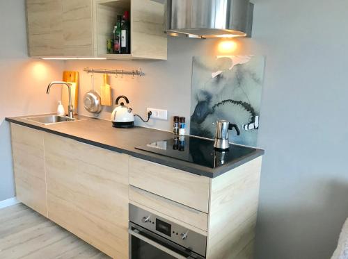 a kitchen with a sink and a counter at Poppenberg Lodge in Winterberg