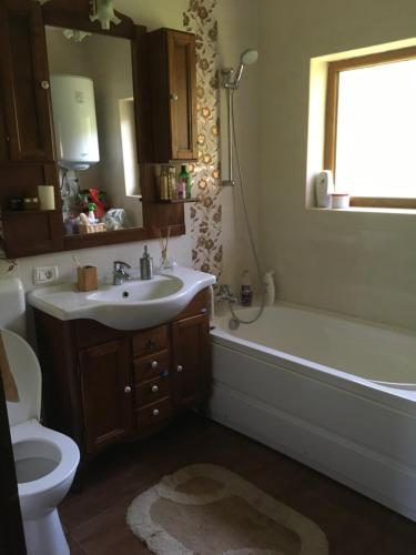 a bathroom with a sink and a tub and a toilet at Căsuța de sub pădure in Ampoiţa