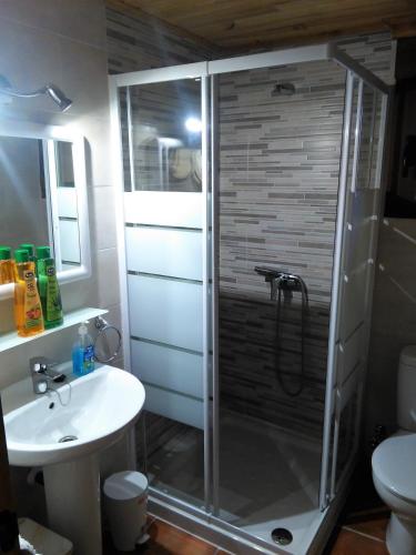 a bathroom with a shower and a sink at Arroyo Milano Casa Rural in Maello