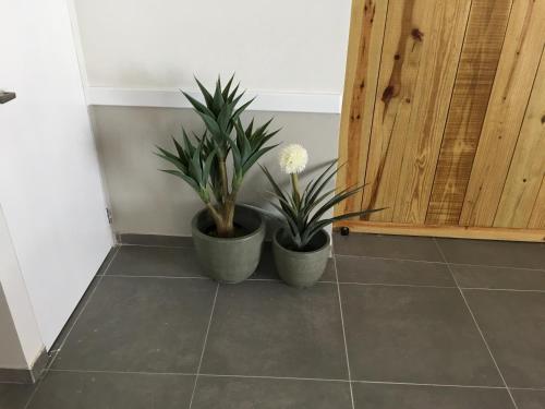 two potted plants sitting on the floor next to a door at San Marco Hotel Curacao & Casino in Willemstad