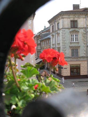 a group of red flowers on a city street at Old Town Apartments in Lviv