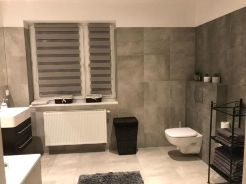 a bathroom with a toilet and a sink at Amelia in Schodnia Stara