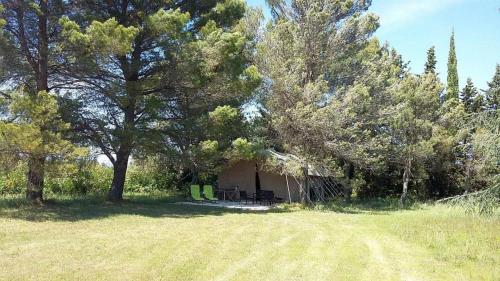 a tent in the middle of a field with trees at Masmazan in Mazan