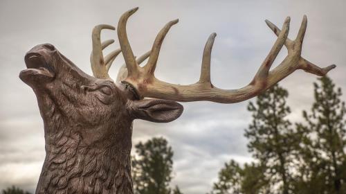 a statue of a deer head and antlers at Elktrace Bed and Breakfast in Pagosa Springs