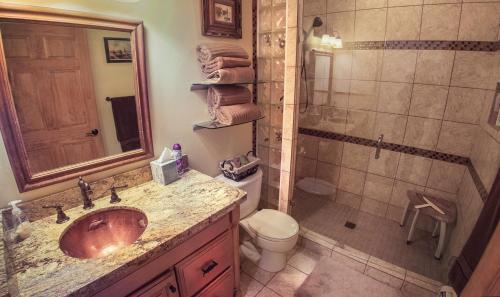 a bathroom with a sink and a shower and a toilet at Elktrace Bed and Breakfast in Pagosa Springs