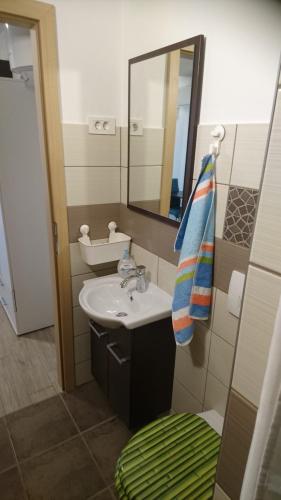 Koupelna v ubytování Apartment Grosek