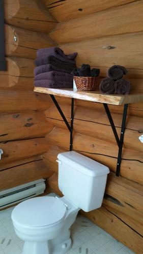 a bathroom with a toilet and a shelf with towels at Twin Peaks Resort in Valemount