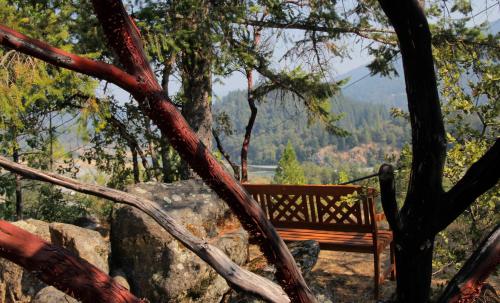 Coho Cottages – Photos 4