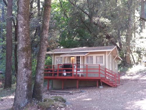 a tiny house in the middle of the woods at China Creek Cottages in Willow Creek
