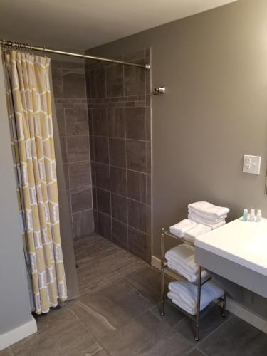 a bathroom with a shower and a sink at China Creek Cottages in Willow Creek