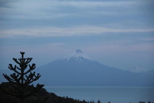 a mountain in the distance with a tree in the foreground at Cabañas Lomas del Lago in Frutillar