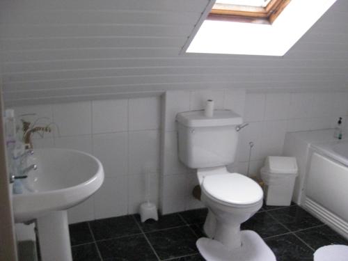 a bathroom with a toilet and a sink and a skylight at Kilkerran Guest House in Ayr