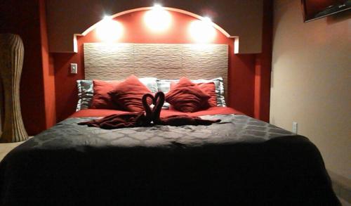 Hotel Revolución – Photos 2