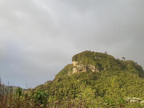 a mountain with a castle on top of it at Punakaiki Rocks Hotel & Garden Bar in Punakaiki