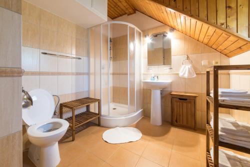 a bathroom with a toilet and a sink at Holiday home Skalka in Mýto pod Ďumbierom
