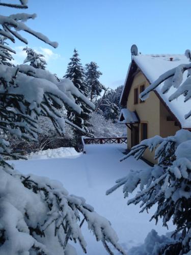 a house covered in snow next to trees at Chata Janet in Martin