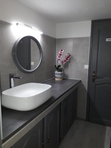 a bathroom with a white sink and a mirror at Logis Hotel des Granges in Arles