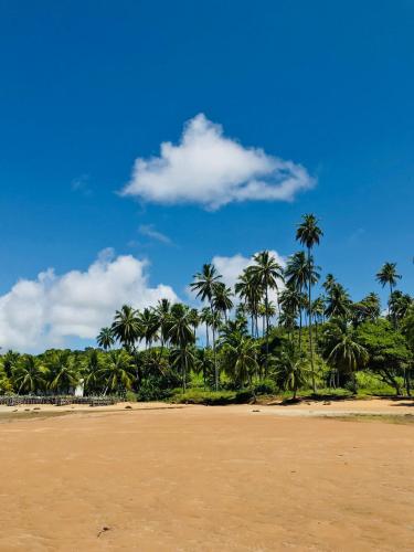 a group of palm trees on the beach at Pousada Yapara-Tyba in Japaratinga